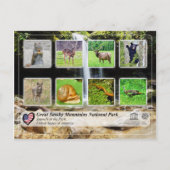 Nationaal Park Grote Smoky Mountains - Dieren Briefkaart (Voorkant)