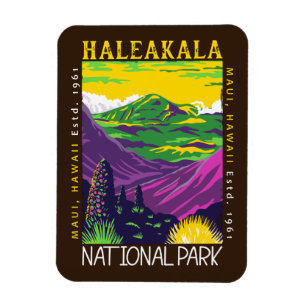 Nationaal park Haleakala Hawaii Verstoorde Vintage Magneet