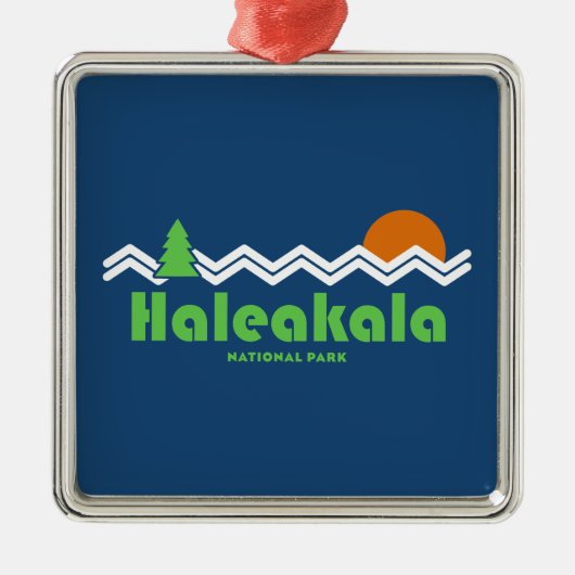Nationaal park Haleakala Retro Metalen Ornament (Voorkant)
