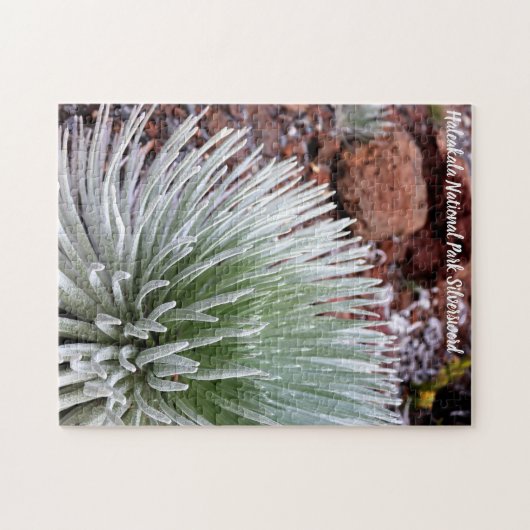 Nationaal park Haleakala Silversword Legpuzzel (Horizontaal)