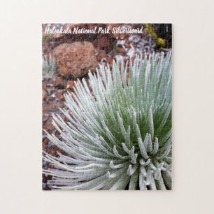 Nationaal park Haleakala Silversword Legpuzzel