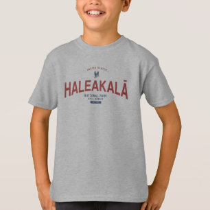 Nationaal park Haleakala Vacatie Hawaii T-shirt