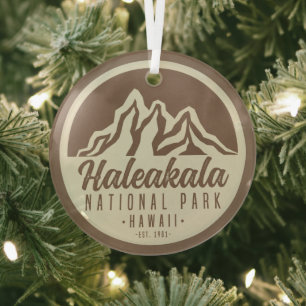 Nationaal Park Hawaii Glas Ornament