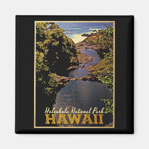 Nationaal Park Hawaii Magneet