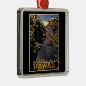 Nationaal Park Hawaii Metalen Ornament (Rechts)