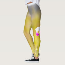 Nationaal park Hawaii Tropical Orchid Volcanoes