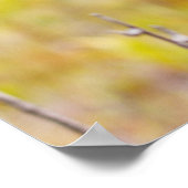 Nationaal park Hawaii Tropical Orchid Volcanoes Poster (Hoek)