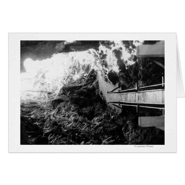 Nationaal park Hawaii, Uitzicht van een Lava Tube (Voorkant Horizontaal)