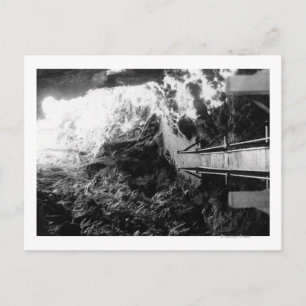 Nationaal park Hawaii, Uitzicht van een Lava Tube Briefkaart