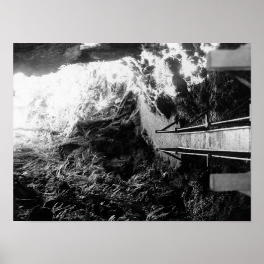 Nationaal park Hawaii, Uitzicht van een Lava Tube Poster (Voorkant)