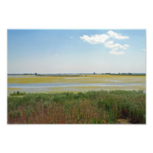 Nationaal Park Hortobagy, Hongarije Foto Afdruk