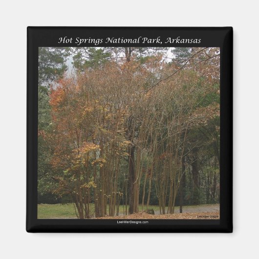 Nationaal park Hot Springs, AR boven de Promenade Magneet (Voorkant)