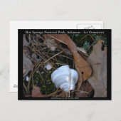 Nationaal park Hot Springs, AR - Ice Ornament Gift Briefkaart (Voorkant / Achterkant)