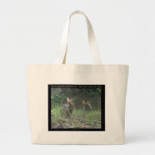 Nationaal park Hot Springs, AR Wild Rabbits Gifts Grote Tote Bag (Voorkant)