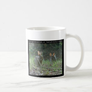 Nationaal park Hot Springs, AR Wild Rabbits Gifts Koffiemok