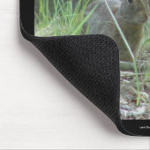 Nationaal park Hot Springs, AR Wild Rabbits Gifts Muismat (Hoek)