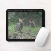 Nationaal park Hot Springs, AR Wild Rabbits Gifts Muismat (Met muis)