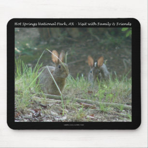 Nationaal park Hot Springs, AR Wild Rabbits Gifts Muismat