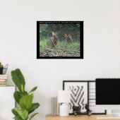 Nationaal park Hot Springs, AR Wild Rabbits Gifts Poster (Thuiskantoor)