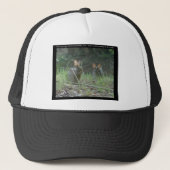 Nationaal park Hot Springs, AR Wild Rabbits Gifts Trucker Pet (Voorkant)