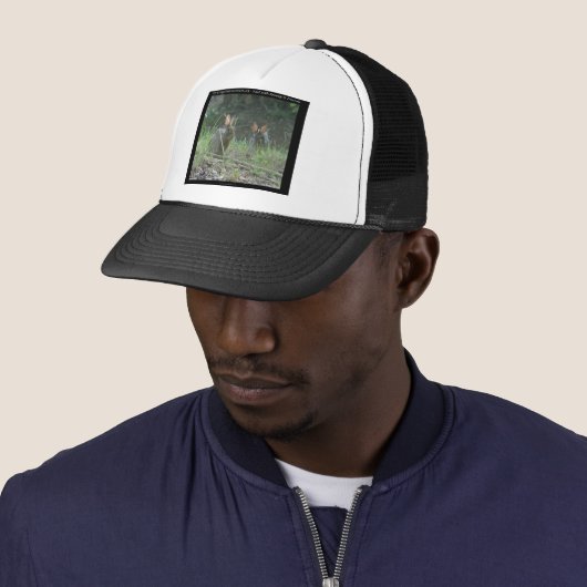 Nationaal park Hot Springs, AR Wild Rabbits Gifts Trucker Pet (In situ)