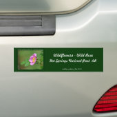 Nationaal park Hot Springs, AR Wild Roos Gifts Bumpersticker (Op auto)