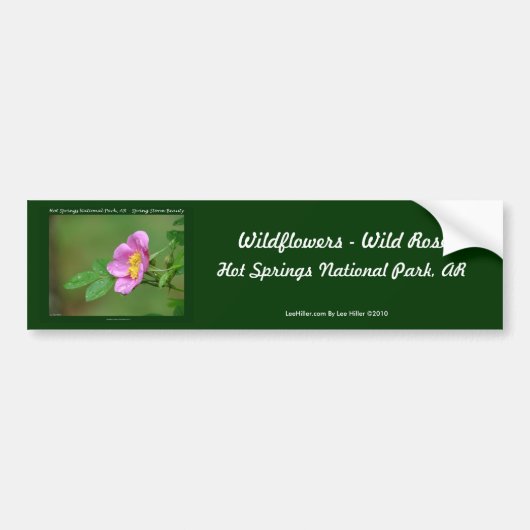 Nationaal park Hot Springs, AR Wild Roos Gifts Bumpersticker (Voorkant)