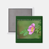 Nationaal park Hot Springs, AR Wild Roos Gifts Magneet (Voorkant / Achterkant)