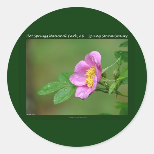 Nationaal park Hot Springs, AR Wild Roos Gifts Ronde Sticker (Voorkant)