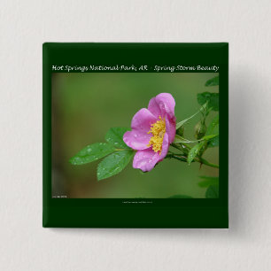 Nationaal park Hot Springs, AR Wild Roos Gifts Vierkante Button 5,1 Cm