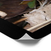 Nationaal park Hot Springs, AR Wild Violet Poster (Hoek)