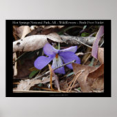 Nationaal park Hot Springs, AR Wild Violet Poster (Voorkant)