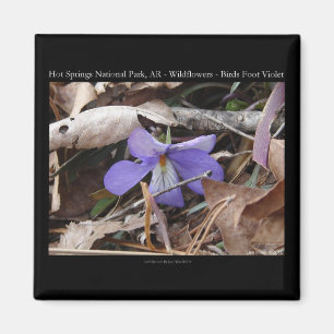 Nationaal park Hot Springs, AR Wild Violets Gifts Magneet