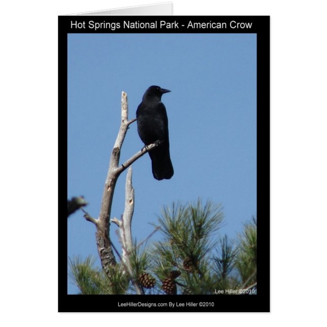 Nationaal park Hots Springs, AR - American Crow (Voorkant)