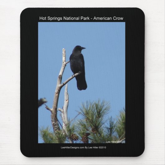 Nationaal park Hots Springs, AR - American Crow Muismat (Voorkant)