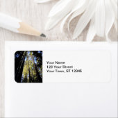 Nationaal park Humboldt Redwood Etiket (Insitu)