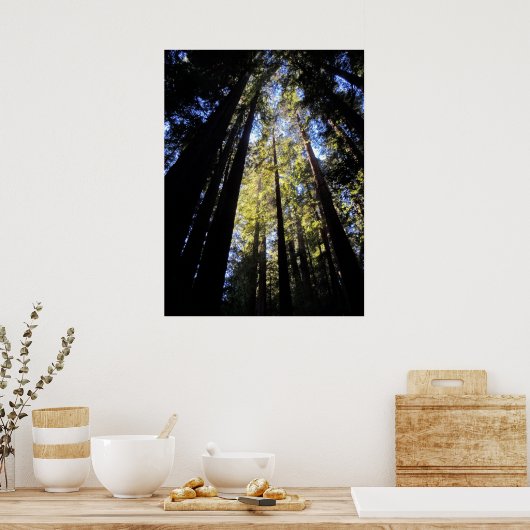 Nationaal park Humboldt Redwood Poster (Keuken)