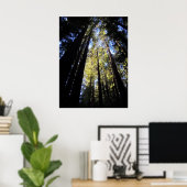 Nationaal park Humboldt Redwood Poster (Thuiskantoor)