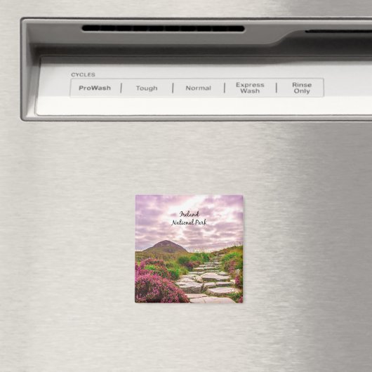 Nationaal Park Ierland Magneet (Insitu (Vaatwasser))