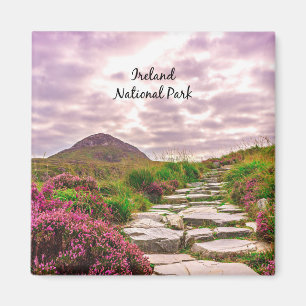 Nationaal park Ierland Magneet