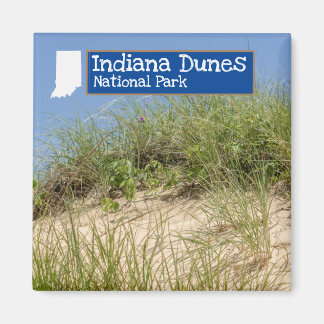 Nationaal Park Indiana Dunes Magneet
