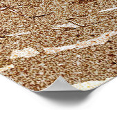 Nationaal Park Indiana Dunes Poster (Hoek)