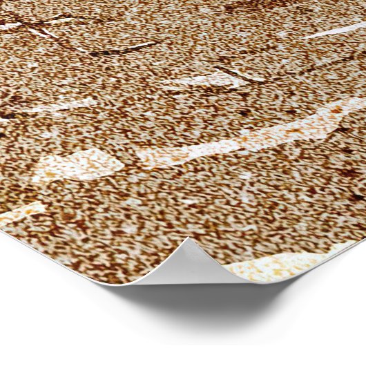 Nationaal Park Indiana Dunes Poster (Hoek)