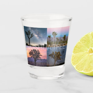 Nationaal park Joshua - boom - Zonnenacht Shot Glas
