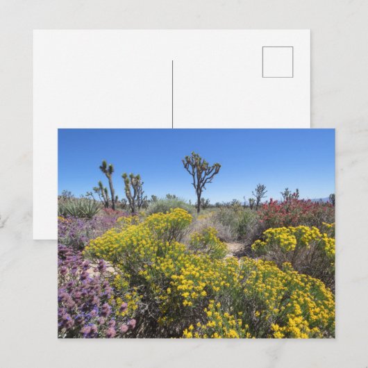Nationaal park Joshua in Bloom Briefkaart (Voorkant / Achterkant)