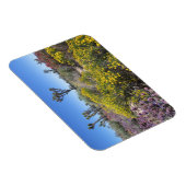 Nationaal park Joshua in Bloom Magneet (Rechterzijde)