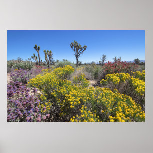Nationaal park Joshua in Bloom Poster