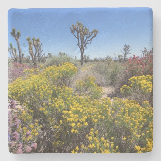Nationaal park Joshua in Bloom Stenen Onderzetter (Voorkant)