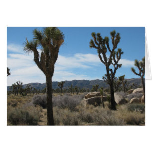 Nationaal park Joshua Tree
