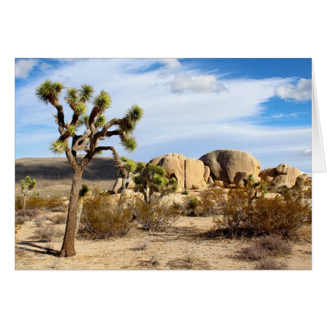 Nationaal park Joshua Tree (Voorkant Horizontaal)